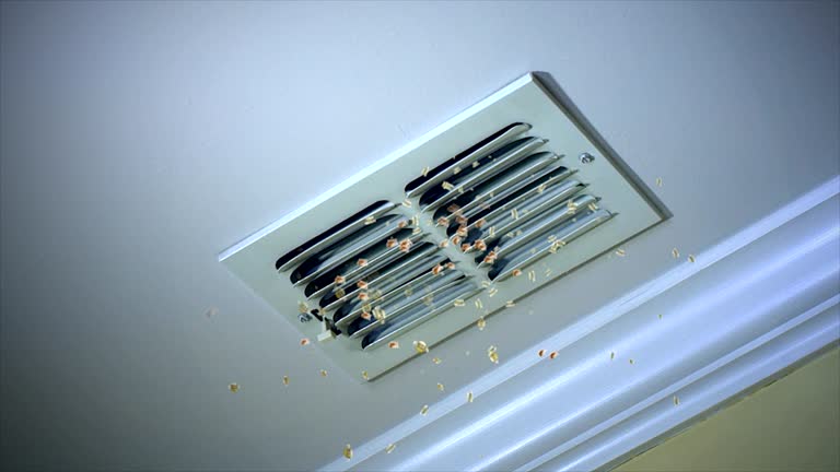 Best HVAC System Cleaning  in Bonney Lake, WA