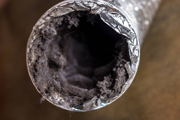Best Air Duct Cleaning Near Me  in Bonney Lake, WA